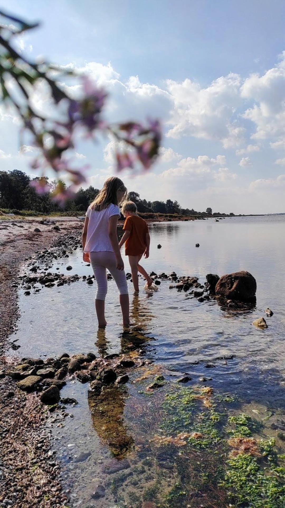 Holiday home The Comfort Of This Merges With Nature Holbaek